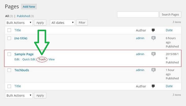 Wordpress Pages Delete